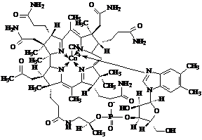 图片9